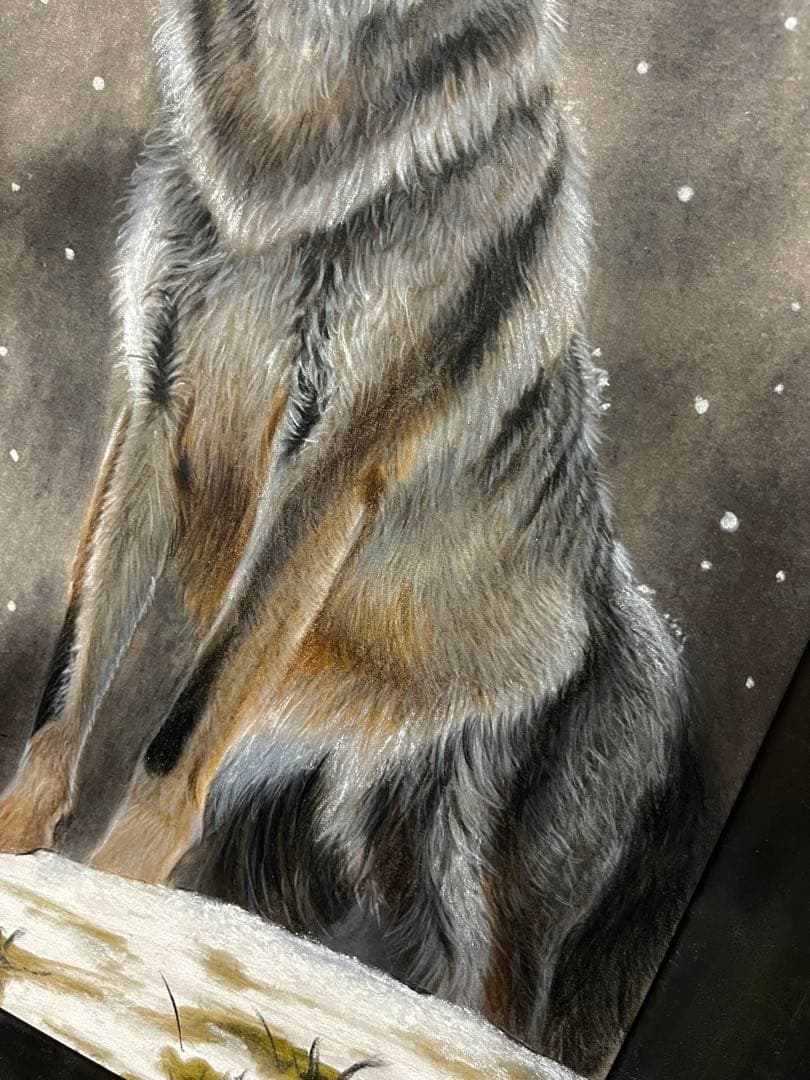 奇跡の狼　色鉛筆画